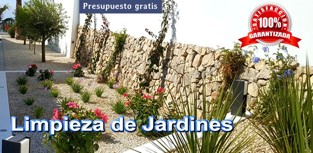 Pintores Profesionales Móvil