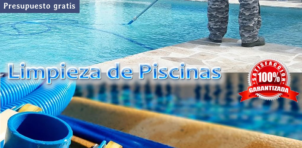 Pintores Profesionales Móvil