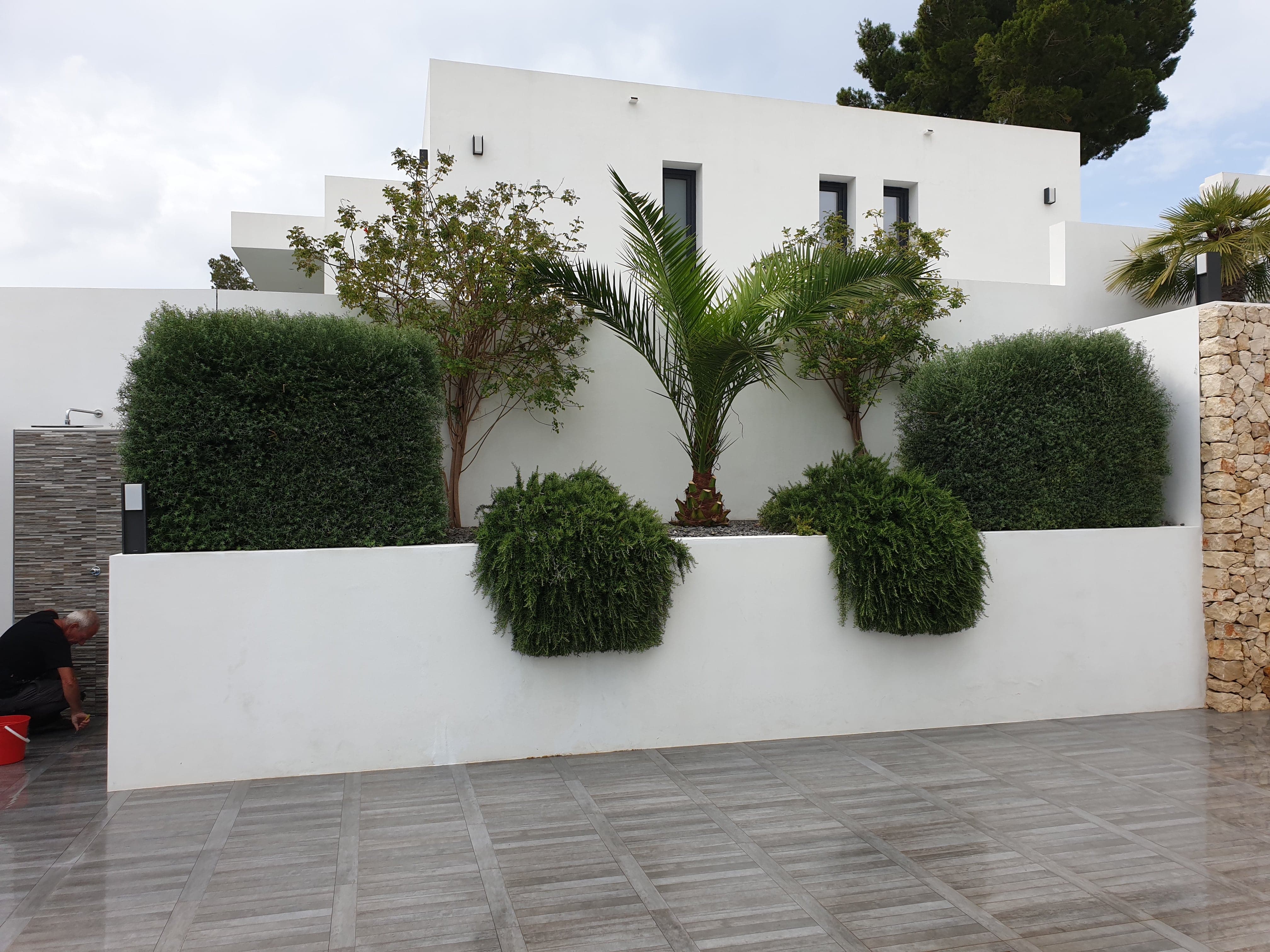 Cleaning of Gardens in Alicante