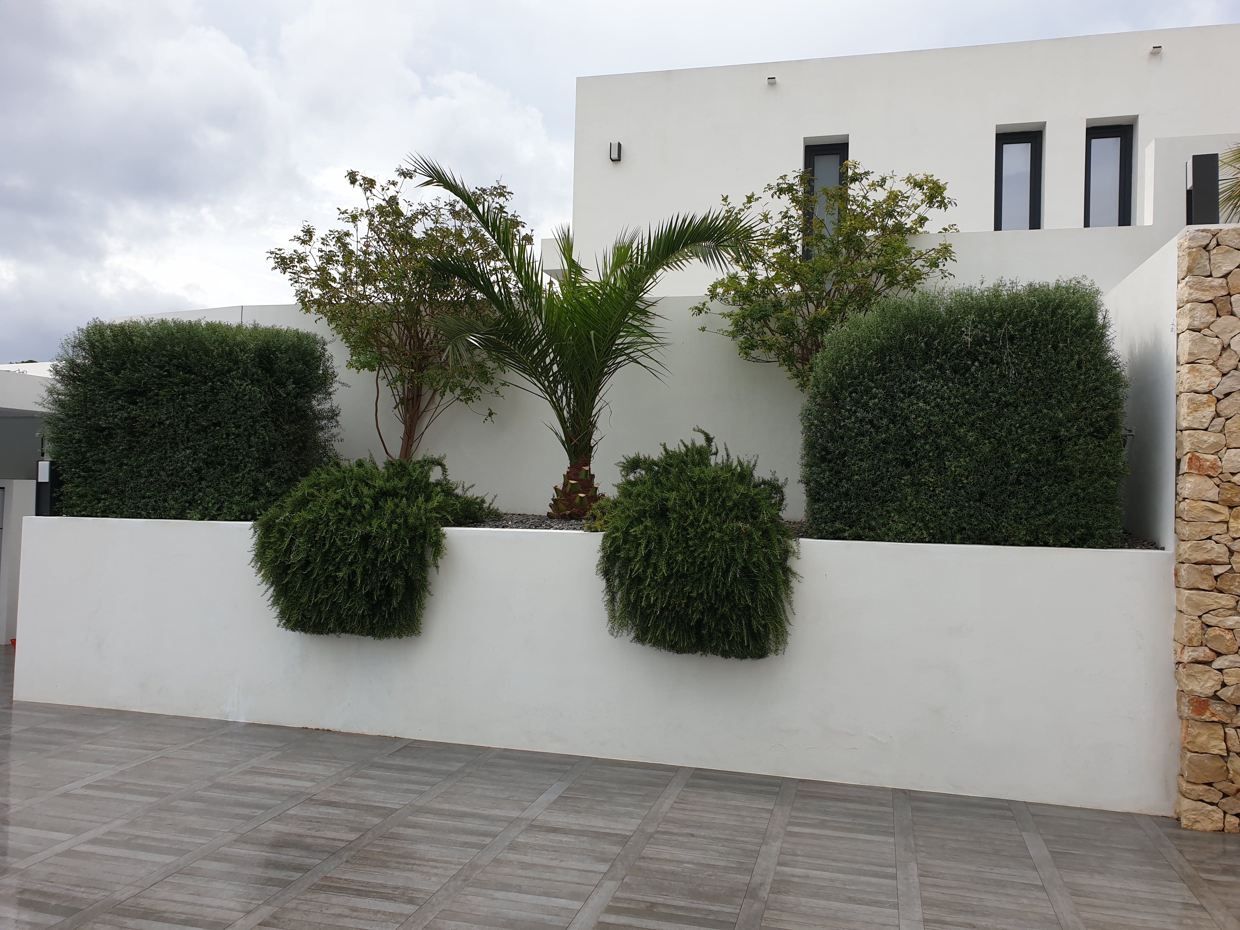 Limpieza de jardines en Alicante