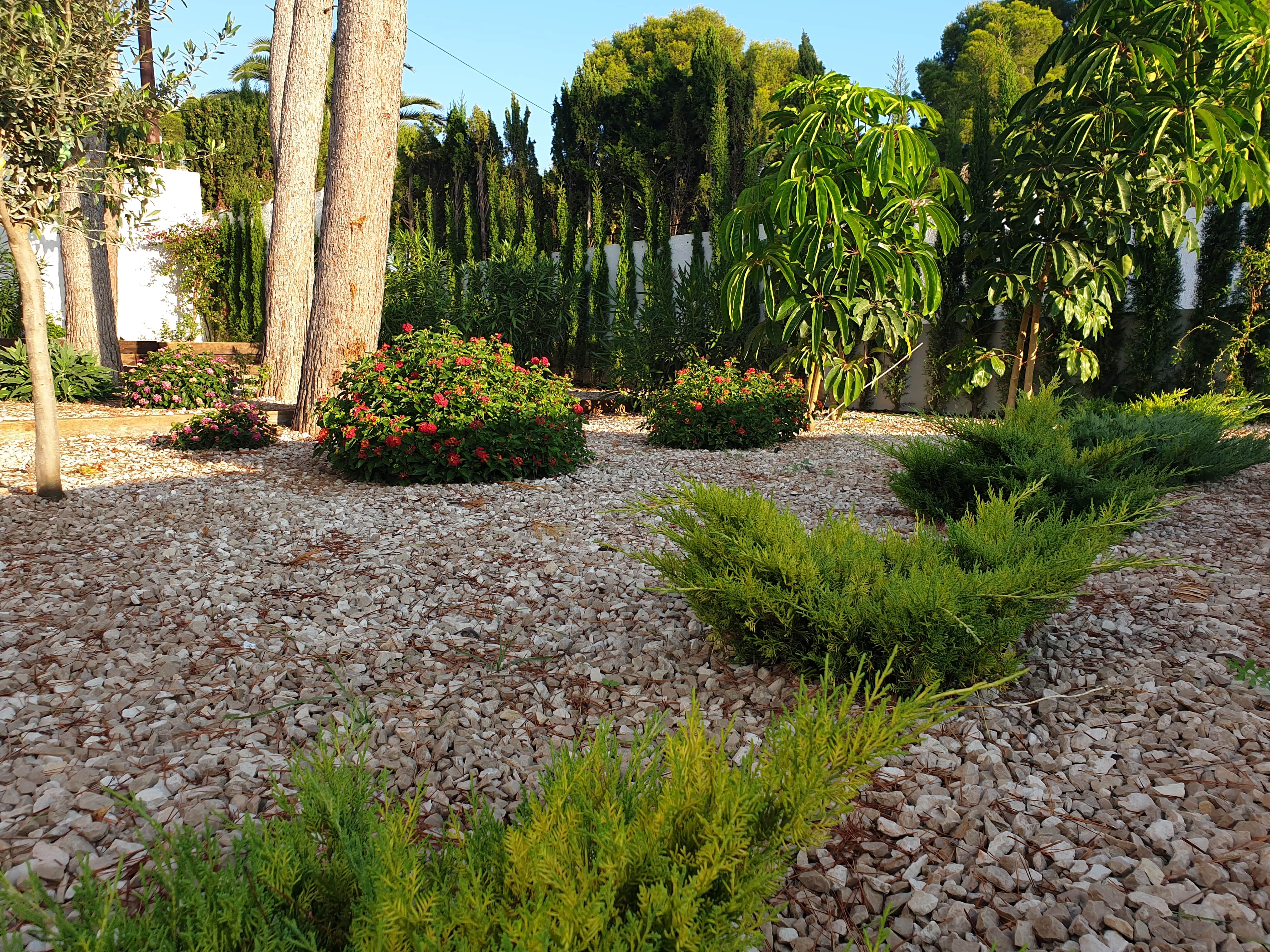 Limpieza de jardines en Moraira